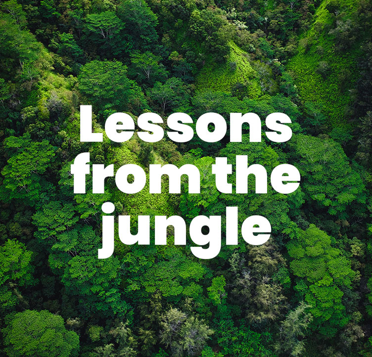 Lessons from the jungle